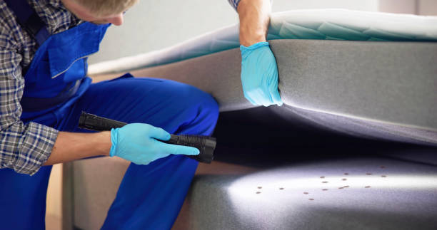 Best Cockroach Control Services  in Middletown, IN