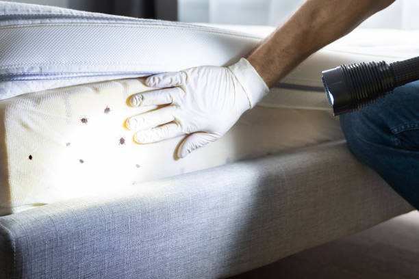 Best Commercial Pest Control Services  in Middletown, IN