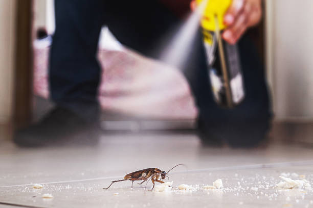 Best Insect Control  in Middletown, IN