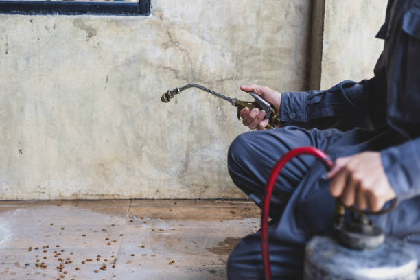 Best Pest Control Treatment  in Middletown, IN